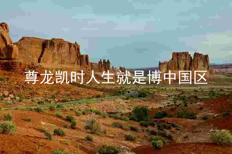 尊龙凯时人生就是博中国区